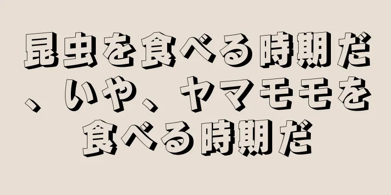 昆虫を食べる時期だ、いや、ヤマモモを食べる時期だ