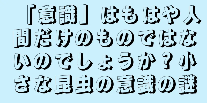 「意識」はもはや人間だけのものではないのでしょうか？小さな昆虫の意識の謎