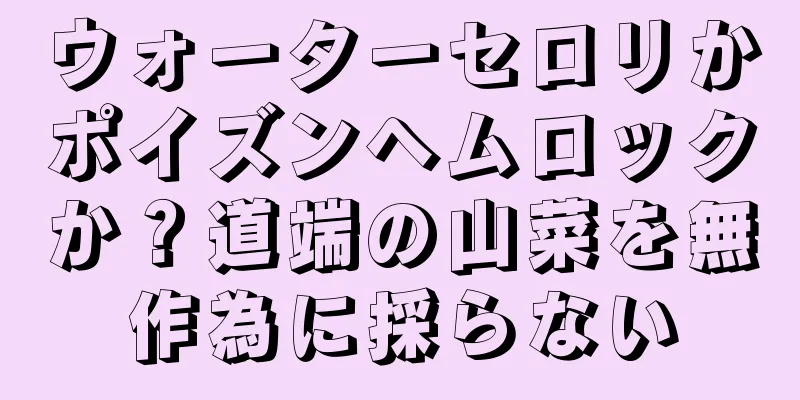 ウォーターセロリかポイズンヘムロックか？道端の山菜を無作為に採らない