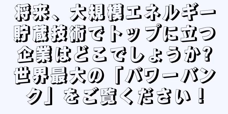 将来、大規模エネルギー貯蔵技術でトップに立つ企業はどこでしょうか?世界最大の「パワーバンク」をご覧ください！