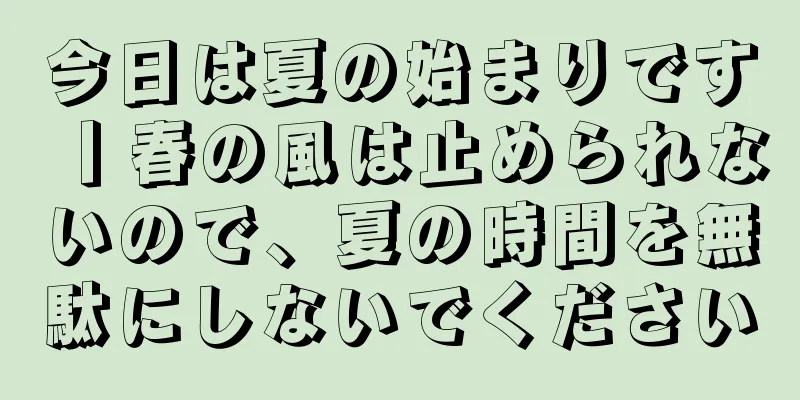 今日は夏の始まりです丨春の風は止められないので、夏の時間を無駄にしないでください