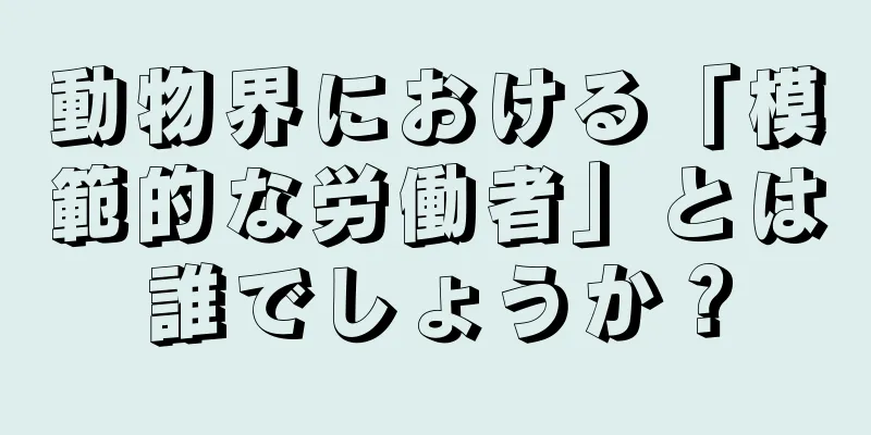 動物界における「模範的な労働者」とは誰でしょうか？