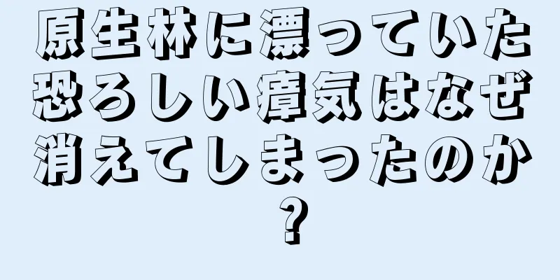 原生林に漂っていた恐ろしい瘴気はなぜ消えてしまったのか？