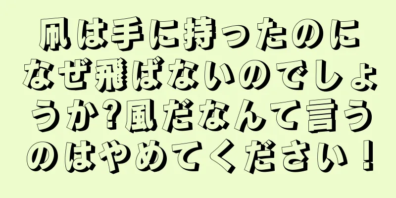凧は手に持ったのになぜ飛ばないのでしょうか?風だなんて言うのはやめてください！