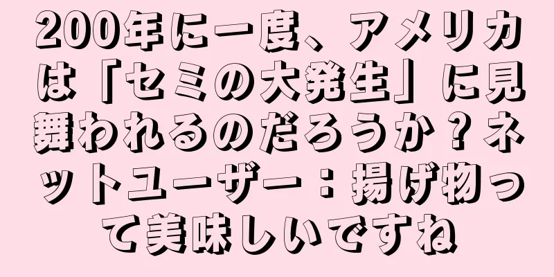 200年に一度、アメリカは「セミの大発生」に見舞われるのだろうか？ネットユーザー：揚げ物って美味しいですね