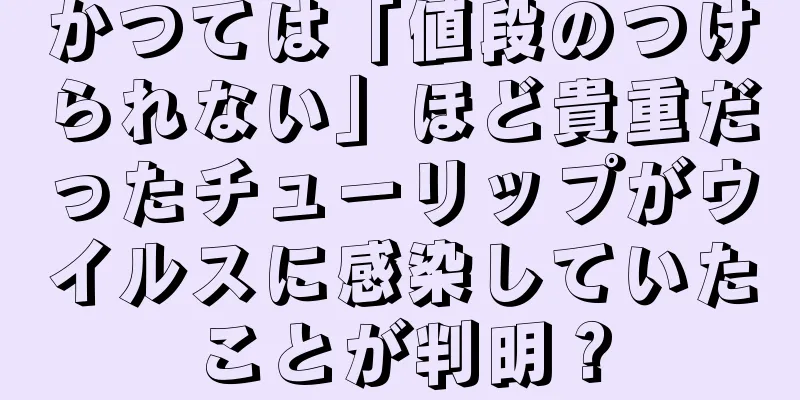 かつては「値段のつけられない」ほど貴重だったチューリップがウイルスに感染していたことが判明？