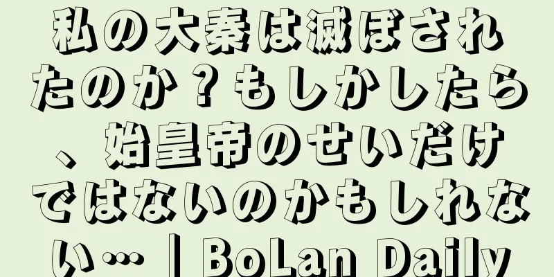 私の大秦は滅ぼされたのか？もしかしたら、始皇帝のせいだけではないのかもしれない…｜BoLan Daily