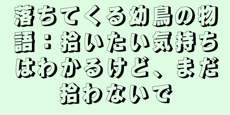 落ちてくる幼鳥の物語：拾いたい気持ちはわかるけど、まだ拾わないで