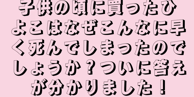 子供の頃に買ったひよこはなぜこんなに早く死んでしまったのでしょうか？ついに答えが分かりました！