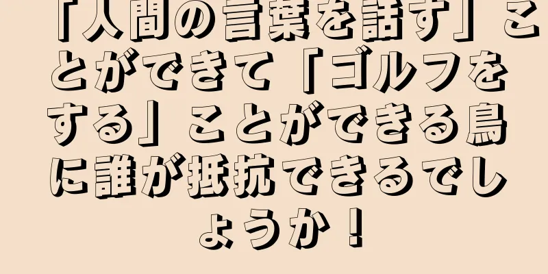 「人間の言葉を話す」ことができて「ゴルフをする」ことができる鳥に誰が抵抗できるでしょうか！
