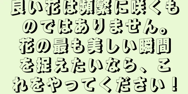 良い花は頻繁に咲くものではありません。花の最も美しい瞬間を捉えたいなら、これをやってください！