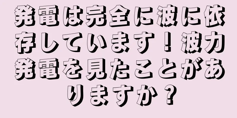 発電は完全に波に依存しています！波力発電を見たことがありますか？