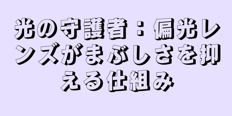 光の守護者：偏光レンズがまぶしさを抑える仕組み