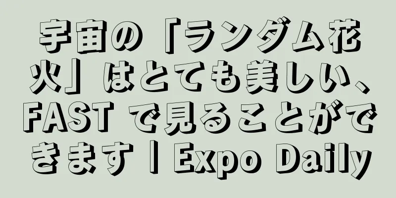 宇宙の「ランダム花火」はとても美しい、FAST で見ることができます｜Expo Daily