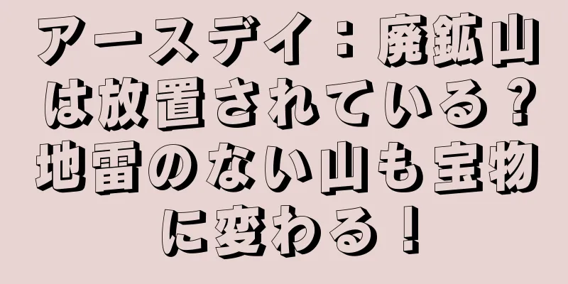 アースデイ：廃鉱山は放置されている？地雷のない山も宝物に変わる！