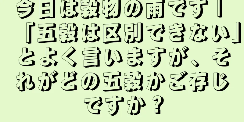 今日は穀物の雨です | 「五穀は区別できない」とよく言いますが、それがどの五穀かご存じですか？