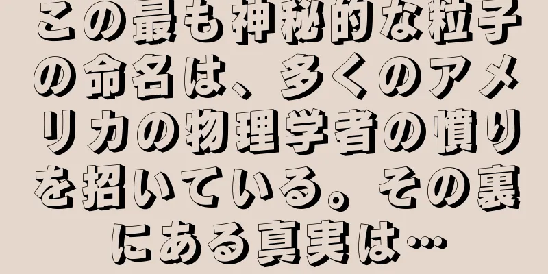 この最も神秘的な粒子の命名は、多くのアメリカの物理学者の憤りを招いている。その裏にある真実は…