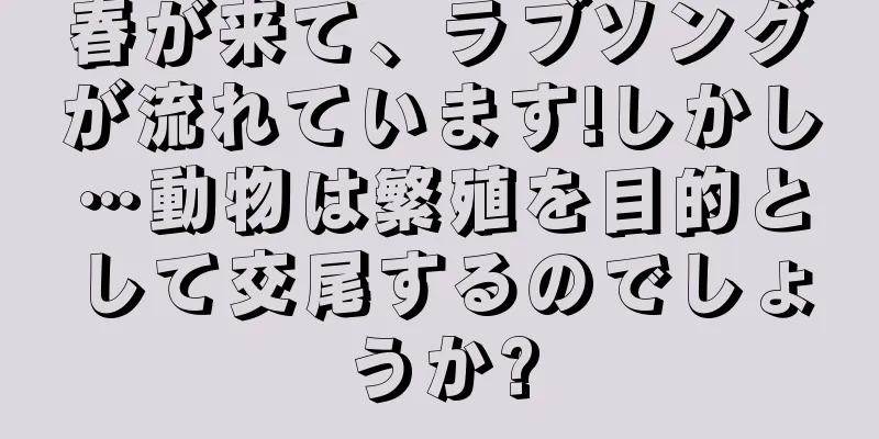春が来て、ラブソングが流れています!しかし…動物は繁殖を目的として交尾するのでしょうか?