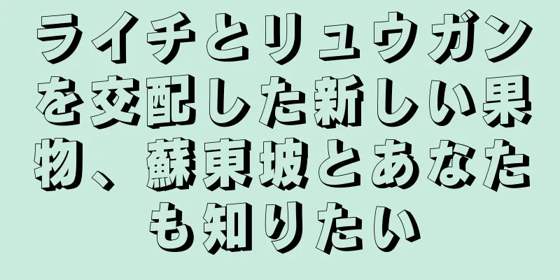 ライチとリュウガンを交配した新しい果物、蘇東坡とあなたも知りたい