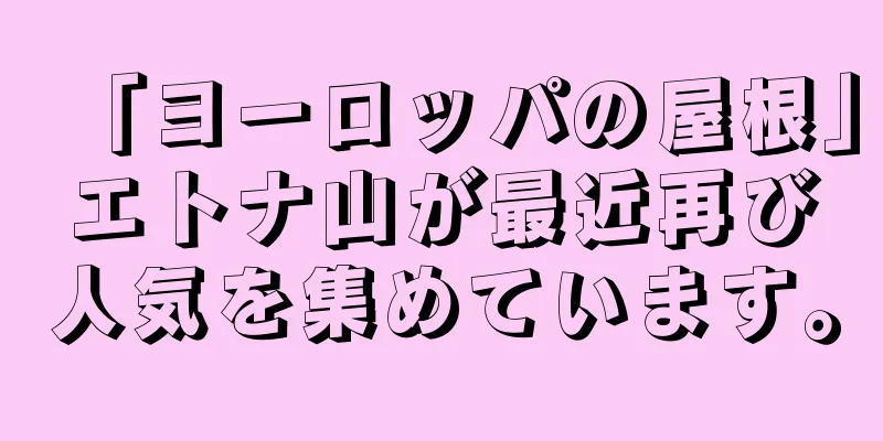 「ヨーロッパの屋根」エトナ山が最近再び人気を集めています。