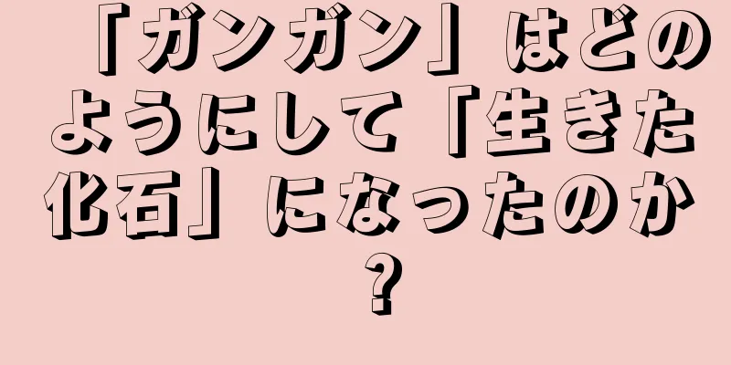 「ガンガン」はどのようにして「生きた化石」になったのか？
