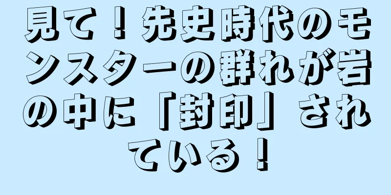 見て！先史時代のモンスターの群れが岩の中に「封印」されている！