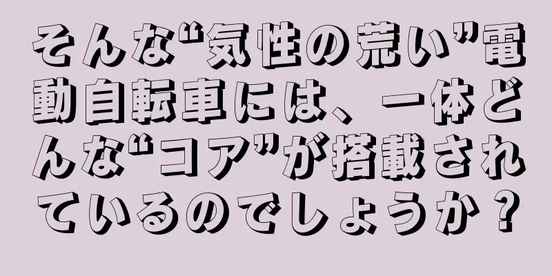 そんな“気性の荒い”電動自転車には、一体どんな“コア”が搭載されているのでしょうか？
