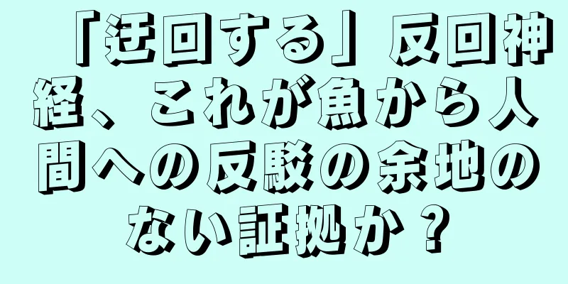 「迂回する」反回神経、これが魚から人間への反駁の余地のない証拠か？