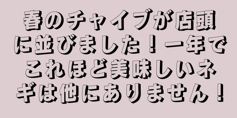 春のチャイブが店頭に並びました！一年でこれほど美味しいネギは他にありません！