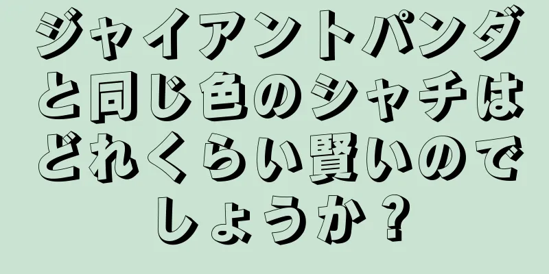 ジャイアントパンダと同じ色のシャチはどれくらい賢いのでしょうか？