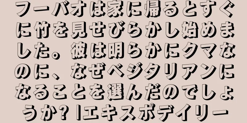 フーバオは家に帰るとすぐに竹を見せびらかし始めました。彼は明らかにクマなのに、なぜベジタリアンになることを選んだのでしょうか? |エキスポデイリー