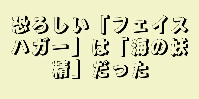 恐ろしい「フェイスハガー」は「海の妖精」だった