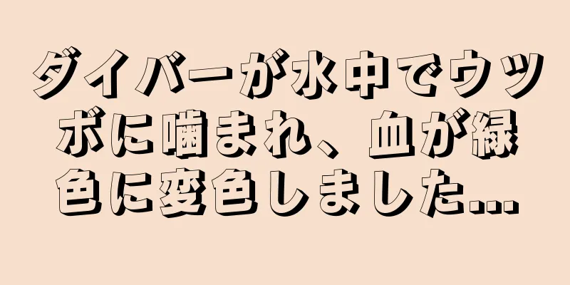 ダイバーが水中でウツボに噛まれ、血が緑色に変色しました...