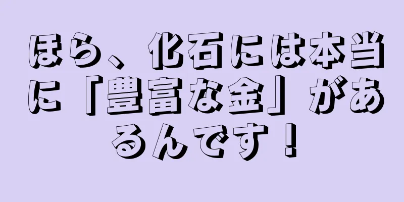 ほら、化石には本当に「豊富な金」があるんです！