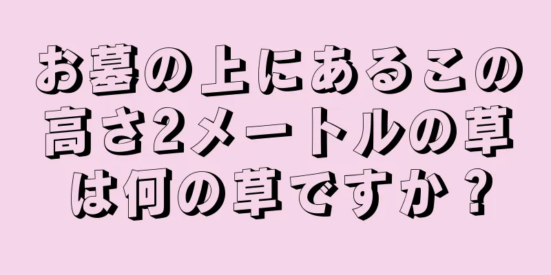 お墓の上にあるこの高さ2メートルの草は何の草ですか？