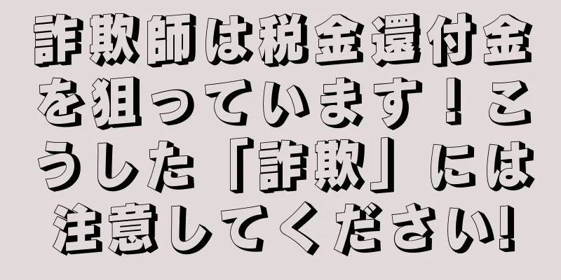 詐欺師は税金還付金を狙っています！こうした「詐欺」には注意してください!