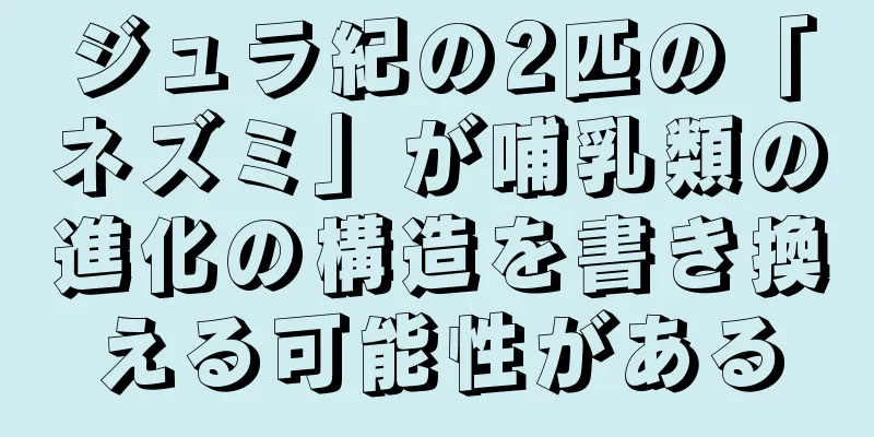 ジュラ紀の2匹の「ネズミ」が哺乳類の進化の構造を書き換える可能性がある