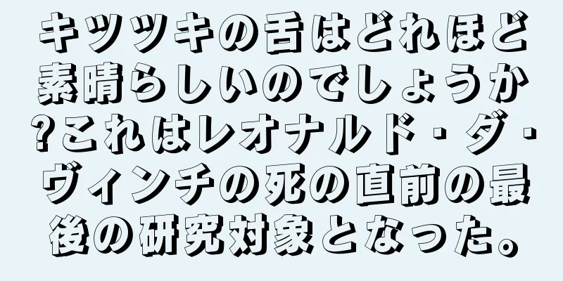 キツツキの舌はどれほど素晴らしいのでしょうか?これはレオナルド・ダ・ヴィンチの死の直前の最後の研究対象となった。