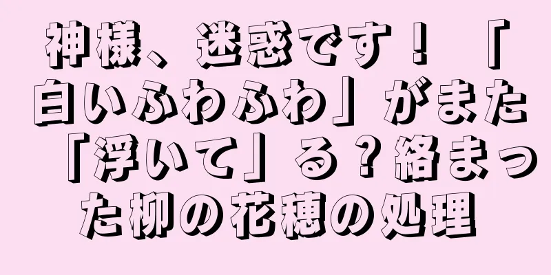 神様、迷惑です！ 「白いふわふわ」がまた「浮いて」る？絡まった柳の花穂の処理