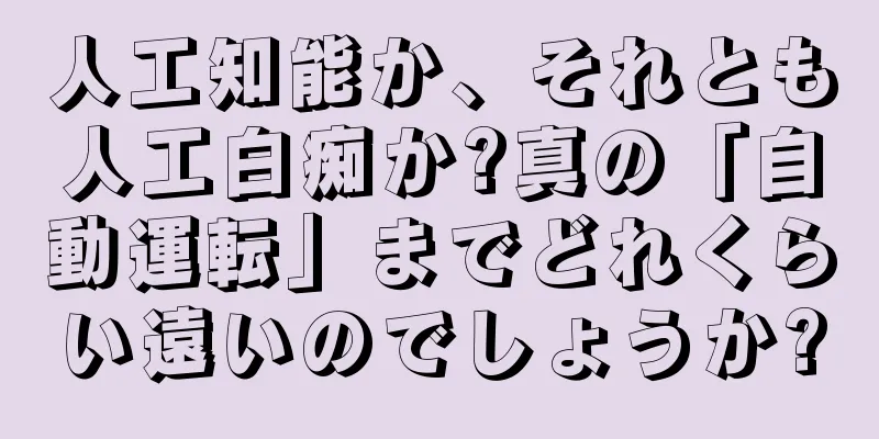 人工知能か、それとも人工白痴か?真の「自動運転」までどれくらい遠いのでしょうか?