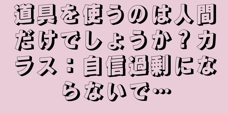 道具を使うのは人間だけでしょうか？カラス：自信過剰にならないで…