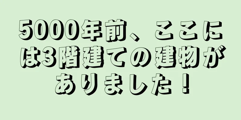 5000年前、ここには3階建ての建物がありました！