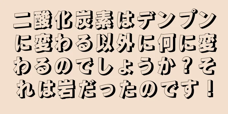 二酸化炭素はデンプンに変わる以外に何に変わるのでしょうか？それは岩だったのです！