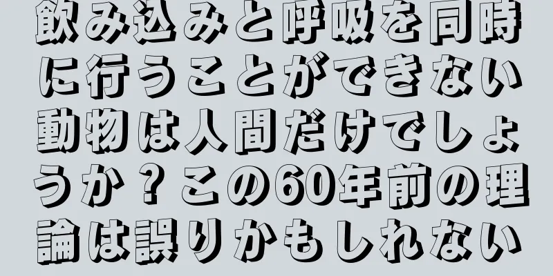 飲み込みと呼吸を同時に行うことができない動物は人間だけでしょうか？この60年前の理論は誤りかもしれない