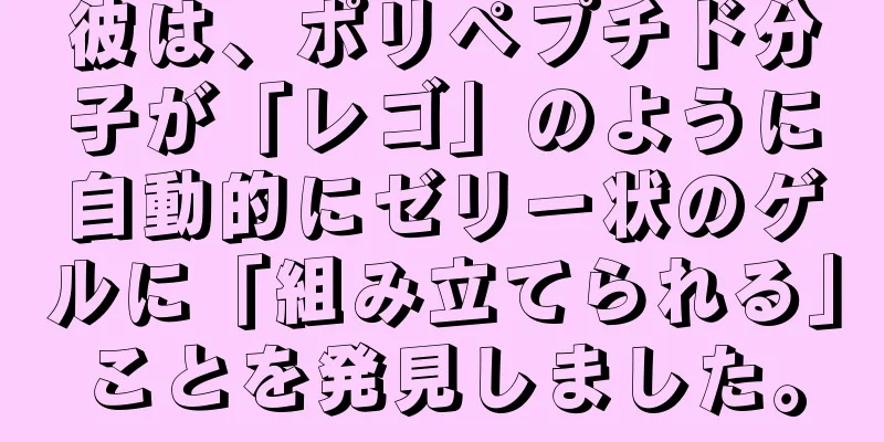 彼は、ポリペプチド分子が「レゴ」のように自動的にゼリー状のゲルに「組み立てられる」ことを発見しました。