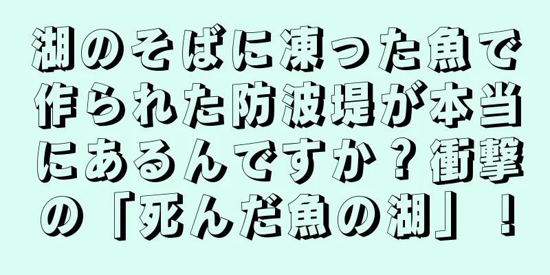 湖のそばに凍った魚で作られた防波堤が本当にあるんですか？衝撃の「死んだ魚の湖」！