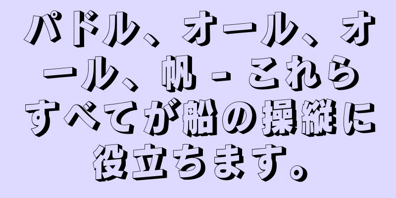 パドル、オール、オール、帆 - これらすべてが船の操縦に役立ちます。