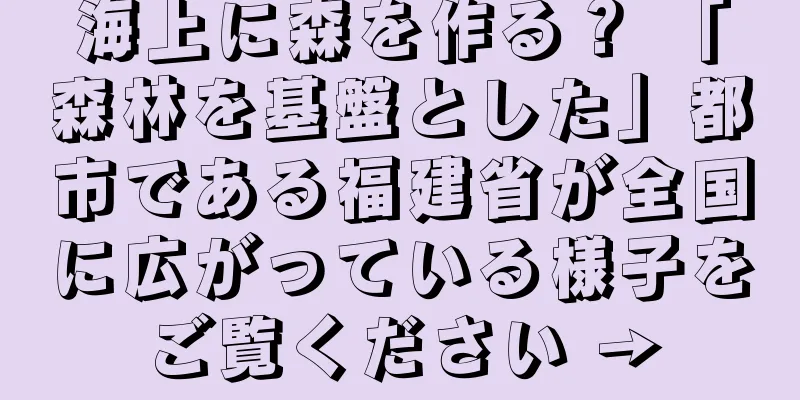 海上に森を作る？ 「森林を基盤とした」都市である福建省が全国に広がっている様子をご覧ください →