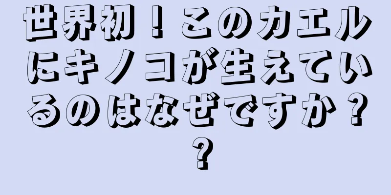 世界初！このカエルにキノコが生えているのはなぜですか？ ?