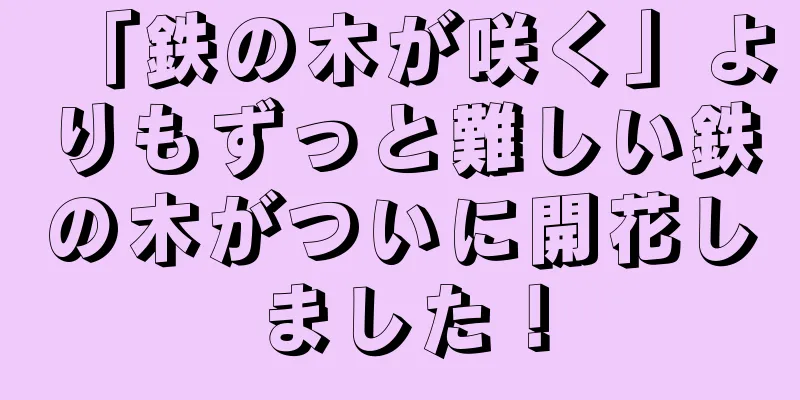 「鉄の木が咲く」よりもずっと難しい鉄の木がついに開花しました！